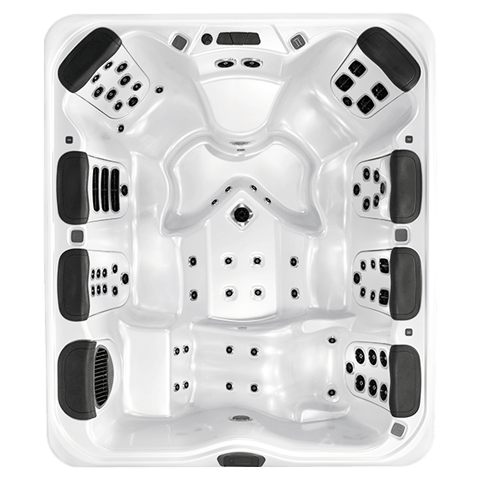 Bullfrog Spas A9L in Fresno